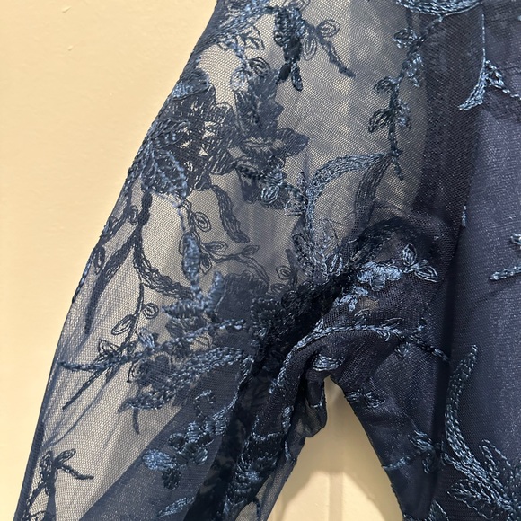 Chic Navy Lace Overlay Dress - Picture 5 of 7